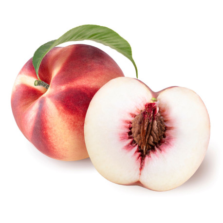NECTARINE BLANCHE AA KG